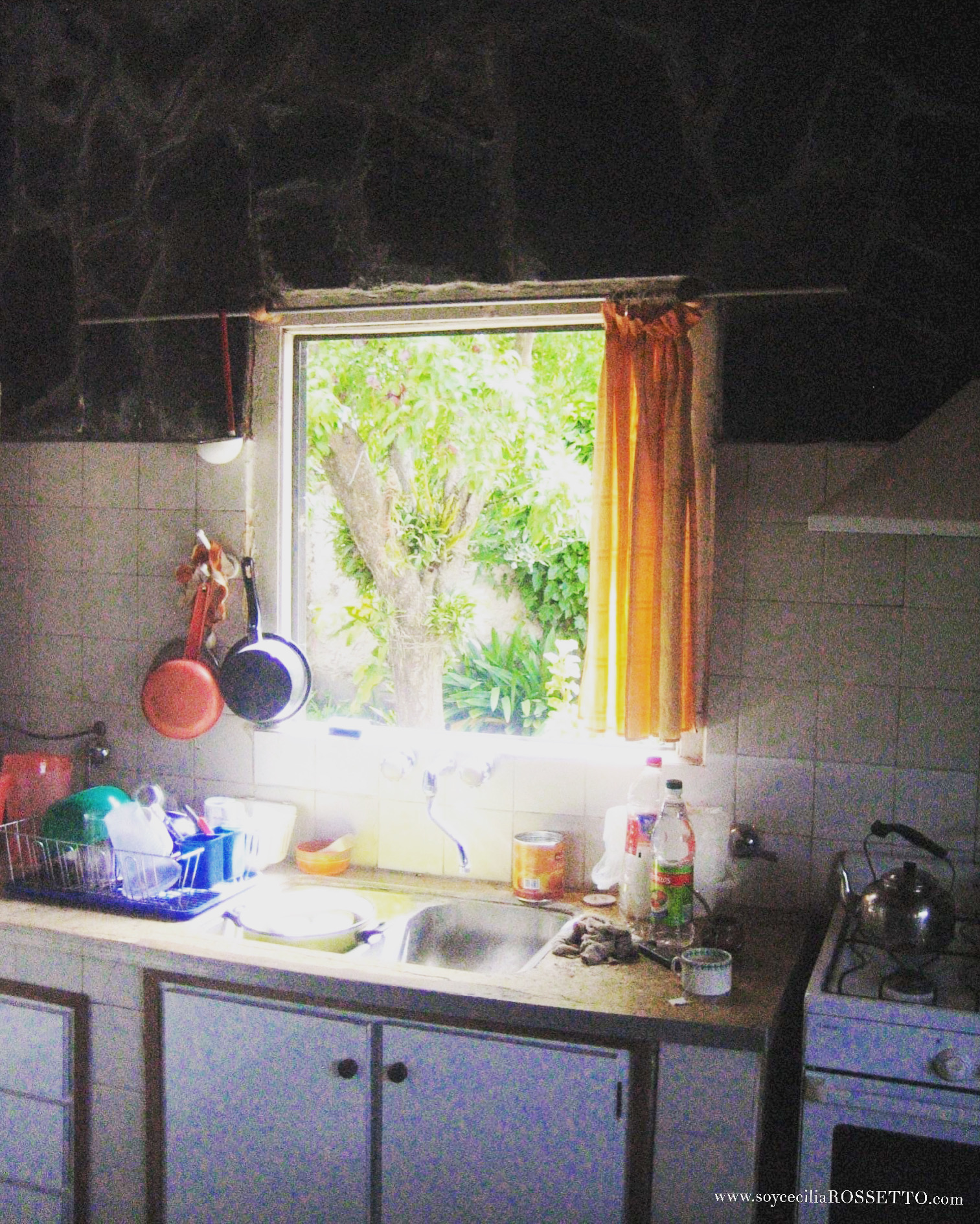 25EC4433-ED6A-4361-B416-A9E70E5A4317